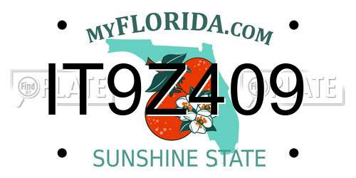 IT9Z409 Florida License Plate