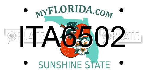 ITA6502 Florida License Plate