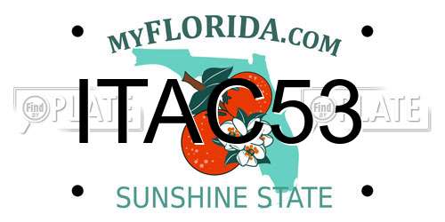ITAC53 Florida License Plate
