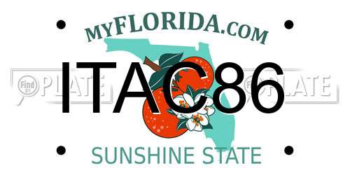 ITAC86 Florida License Plate