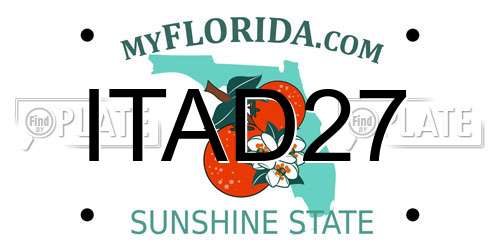 ITAD27 Florida License Plate