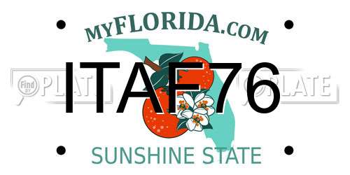 ITAF76 Florida License Plate