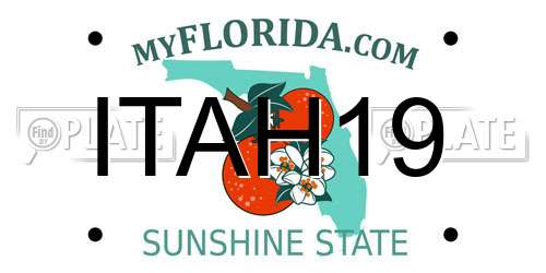 ITAH19 Florida License Plate