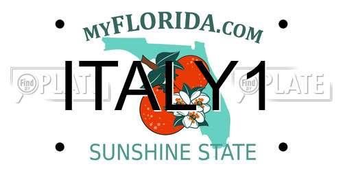 ITALY1 Florida License Plate