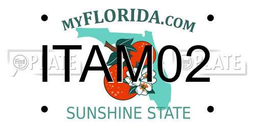ITAM02 Florida License Plate