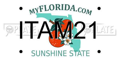 ITAM21 Florida License Plate
