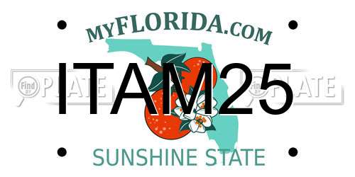 ITAM25 Florida License Plate