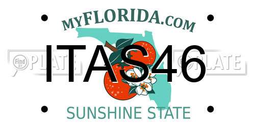 ITAS46 Florida License Plate