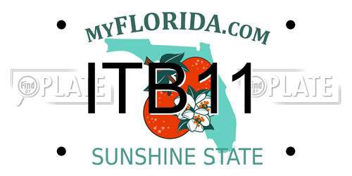 ITB11 Florida License Plate