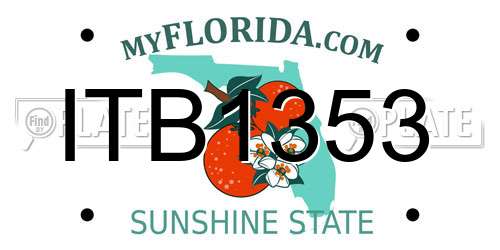 ITB1353 Florida License Plate