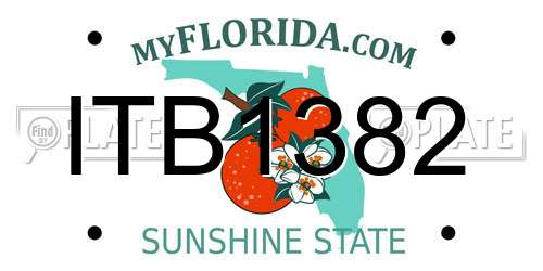 ITB1382 Florida License Plate