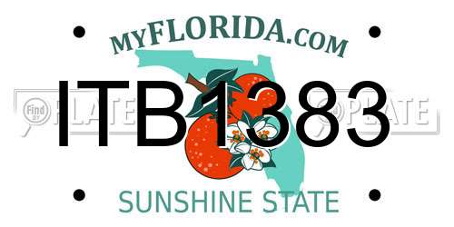 ITB1383 Florida License Plate