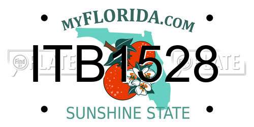 ITB1528 Florida License Plate
