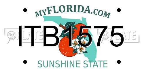 ITB1575 Florida License Plate