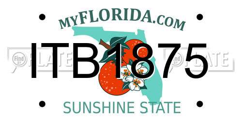 ITB1875 Florida License Plate