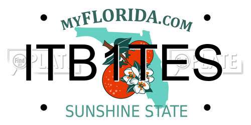 ITB1TES Florida License Plate