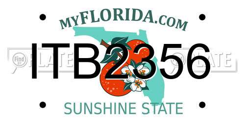 ITB2356 Florida License Plate