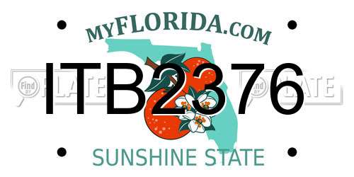 ITB2376 Florida License Plate