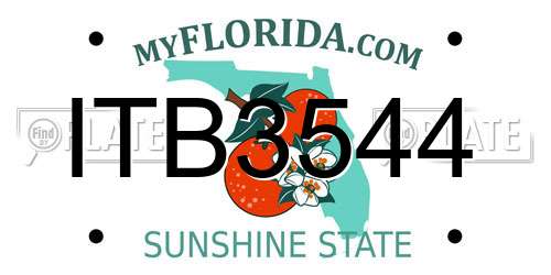 ITB3544 Florida License Plate