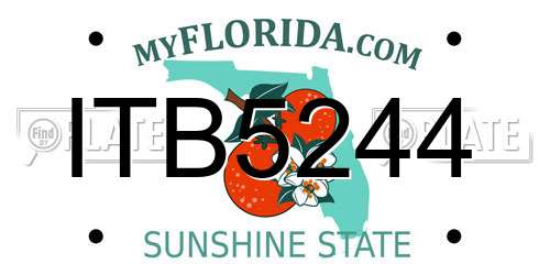 ITB5244 Florida License Plate