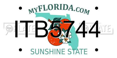 ITB5744 Florida License Plate