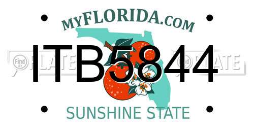ITB5844 Florida License Plate
