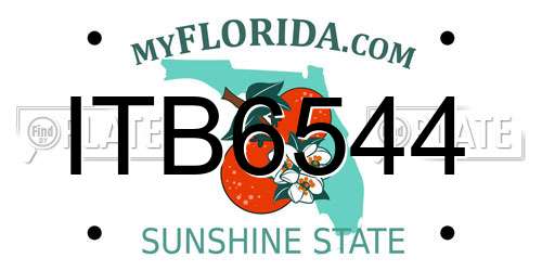 ITB6544 Florida License Plate