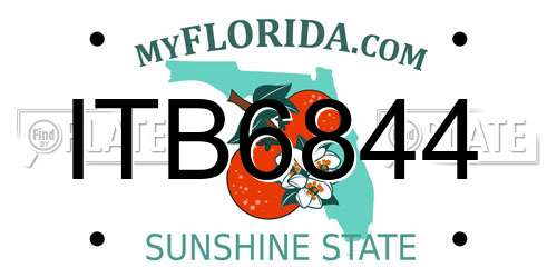 ITB6844 Florida License Plate