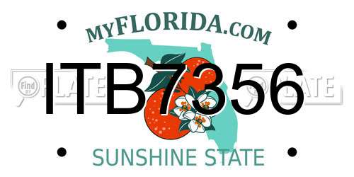 ITB7356 Florida License Plate
