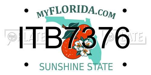 ITB7376 Florida License Plate