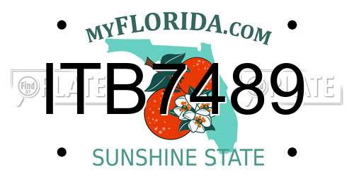 ITB7489 Florida License Plate