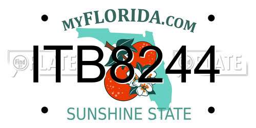 ITB8244 Florida License Plate