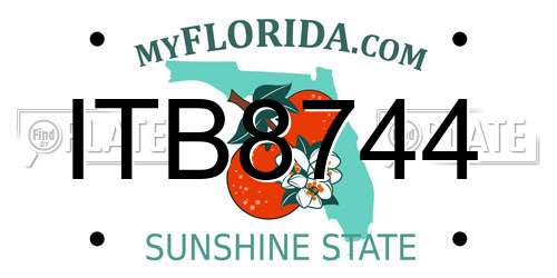 ITB8744 Florida License Plate