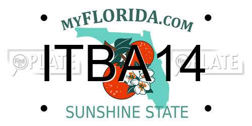 ITBA14 Florida License Plate
