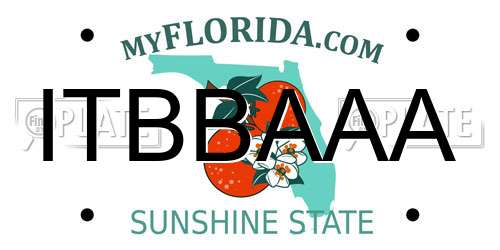 ITBBAAA Florida License Plate