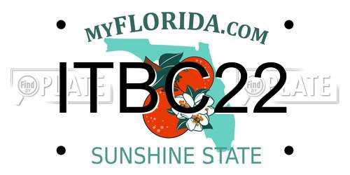 ITBC22 Florida License Plate