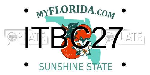 ITBC27 Florida License Plate