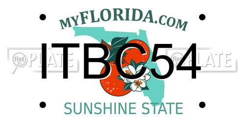 ITBC54 Florida License Plate
