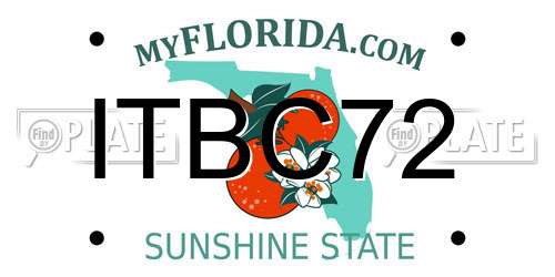ITBC72 Florida License Plate