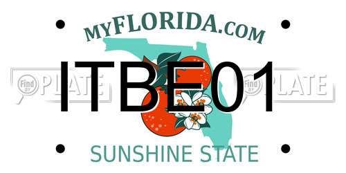 ITBE01 Florida License Plate