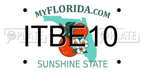 ITBE10 Florida License Plate