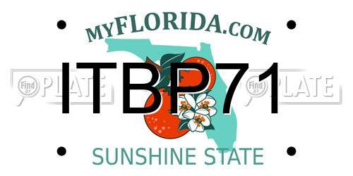 ITBP71 Florida License Plate