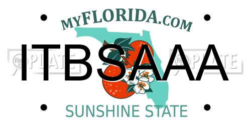 ITBSAAA Florida License Plate