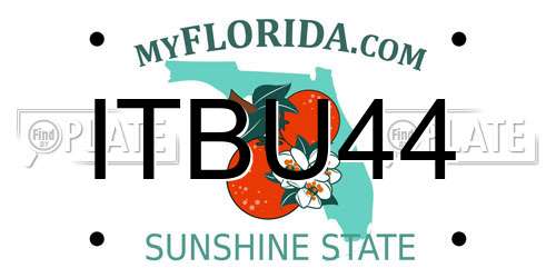 ITBU44 Florida License Plate