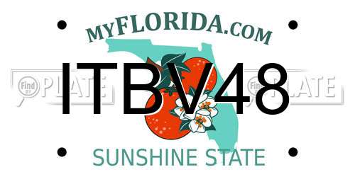 ITBV48 Florida License Plate