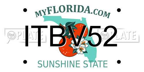 ITBV52 Florida License Plate