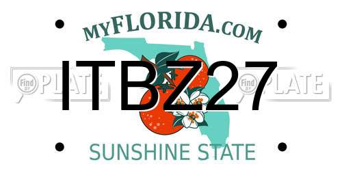 ITBZ27 Florida License Plate