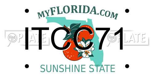 ITCC71 Florida License Plate