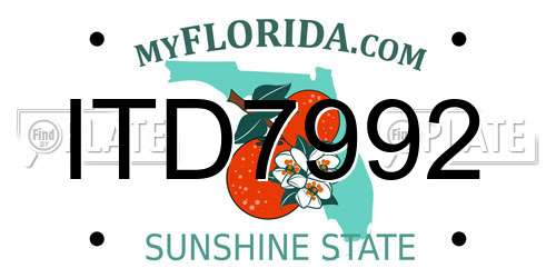 ITD7992 Florida License Plate