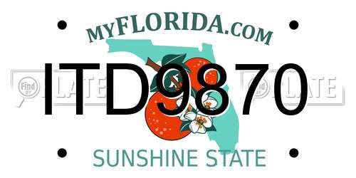 ITD9870 Florida License Plate